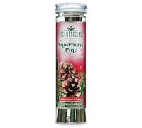 Scentsicles Parfum d'ambiance (Snowberry Pine)