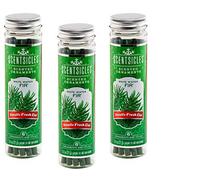 Scentsicles Parfumé Vacances Noël Arbre Ornement Paquet Vacances - Divers Parfums Et Quantité - Blanc Hiver Sapin Ornements, 3 bottles/18 Sticks