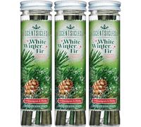 Scentsicles Parfumé Vacances Noël Arbre Ornement Paquet Vacances - Divers Parfums Et Quantité - Blanc Hiver Sapin Ornements, 3 bottles/18 Sticks