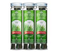 Scentsicles Parfumé Vacances Noël Arbre Ornement Paquet Vacances - Divers Parfums Et Quantité - Blanc Hiver Sapin Ornements, 3 bottles/18 Sticks