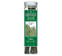 Scentsicles White Winter Fir, bâtonnets parfumés, parfum de sapin fraîchement coupé, parfumé pour les environnements de Noël, parfum, arbre de Noël artificiel, couronne de l'Avent, décoration
