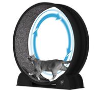 Sch Roue d'exercice pour chat de 114 cm avec podomètre et griffoir pour chat d'intérieur, tapis de course super silencieux avec tapis amovible, roue pour chat de petite, moyenne et grande taille