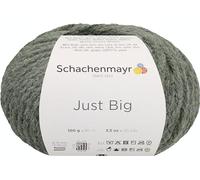Schachenmayr Just Big Fil à tricoter à la main Sauge chiné 100 g