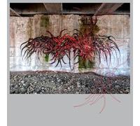 Schacke & Anetha - Looks are Deceiving [Import]