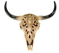 Schaedel Crâne Taureau Noble Indien Design 30 x 30 x 9 cm