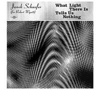 Schaefer - What Light There Is Tells Us Nothing
