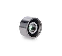 SCHAEFFLER INA Galet Coussinet Pour IVECO Daily III 1999-2007 - 531 0557 10