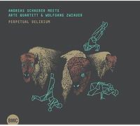 Schaerer, Andreas Meets a - Perpetual Delirium-Andreas Scherer [Import]