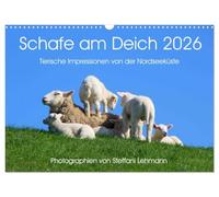 Schafe am Deich 2026. Tierische Impressionen von der Nordseeküste (Wandkalender 2026 DIN A3 quer), CALVENDO Monatskalender: Weiße und schwarze, kleine und große Schafe am Nordseedeich.