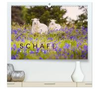 Schafe - Weich und wollig (hochwertiger Premium Wandkalender 2026 DIN A2 quer), Kunstdruck in Hochglanz: Schafe unterwegs in schönen Landschaften aus Wales, Norwegen und Irland.
