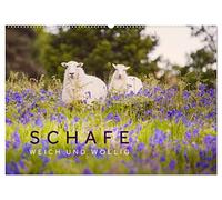 Schafe - Weich und wollig (Wandkalender 2026 DIN A2 quer), CALVENDO Monatskalender: Schafe unterwegs in schönen Landschaften aus Wales, Norwegen und Irland.