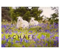 Schafe - Weich und wollig (Wandkalender 2026 DIN A4 quer), CALVENDO Monatskalender: Schafe unterwegs in schönen Landschaften aus Wales, Norwegen und Irland.