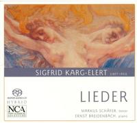 Schafer Markus - Karg Elert Lieder