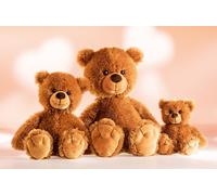 Schaffer 5402 Ours en Peluche Teddy Tom 38 cm