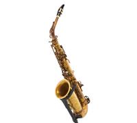 Schagerl Schagerl A-2V SuperiorPro Alto Sax