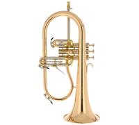 Schagerl "Schagerl ""AGLAEA"" Bb- Flugelhorn L"