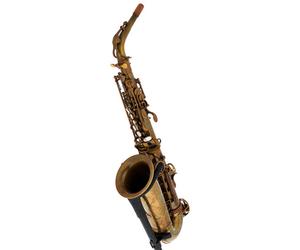 Schagerl Schagerl Alto Sax 66FV-EC