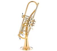 Schagerl Schagerl Ganschhorn 2021 UL