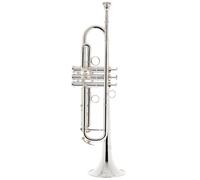 Schagerl Schagerl James Morrison Trp. JM1-S
