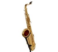 Schagerl Schagerl Superior Tenor Sax T-1L