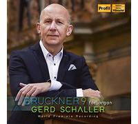 Schaller,Gerd - Sinfonie 9/Orgelfassung [Import]