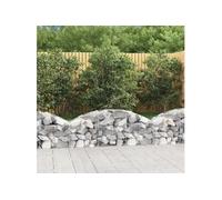 Schanskorf gewelfd 150x30x40/60 cm gegalvaniseerd ijzer153442