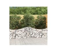 Schanskorven 11 st gewelfd 200x50x60/80 cm gegalvaniseerd ijzer3145607