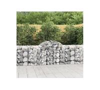 Paniers à gabions arqués 2 pcs 300x50x140/160 cm fer galvanisé gabion vidaXL