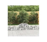 Vidaxl Paniers À Gabions Arqués 12 Pcs 200x30x40/60 Cm Fer Galvanisé