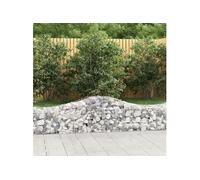 Vidaxl Paniers À Gabions Arqués 15 Pcs 200x50x40/60 Cm Fer Galvanisé