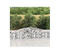Vidaxl Paniers À Gabions Arqués 15 Pcs 400x30x60/80 Cm Fer Galvanisé