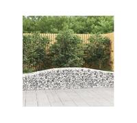 Vidaxl Paniers À Gabions Arqués 15 Pcs 400x50x40/60 Cm Fer Galvanisé