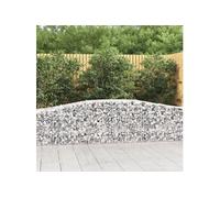 Vidaxl Paniers À Gabions Arqués 15 Pcs 400x50x60/80 Cm Fer Galvanisé