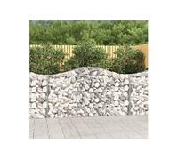 Schanskorven 2 st gewelfd 200x30x100/120 cm ijzer3145430