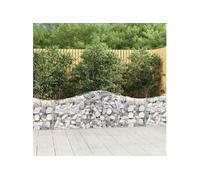 Vidaxl Paniers À Gabions Arqués 2 Pcs 200x30x60/80 Cm Fer Galvanisé