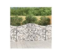 Vidaxl Paniers À Gabions Arqués 2 Pcs 200x50x100/120 Cm Fer Galvanisé