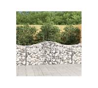Vidaxl Paniers À Gabions Arqués 2 Pcs 200x50x80/100 Cm Fer Galvanisé