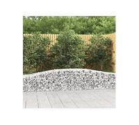 Vidaxl Paniers À Gabions Arqués 2 Pcs 400x50x40/60 Cm Fer Galvanisé