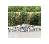 2x Paniers à Gabions Arqués Cages à Gabions Arquées Murs de Gabion Barrières de Jardin Terrasse Extérieur 400x50x40/60 cm Fer Galvanisé