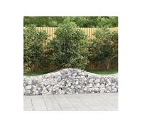 Vidaxl Paniers À Gabions Arqués 20 Pcs 200x50x40/60 Cm Fer Galvanisé