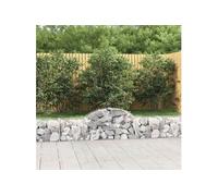 Vidaxl Paniers À Gabions Arqués 4 Pcs 200x30x40/60 Cm Fer Galvanisé