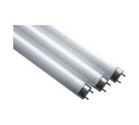 Scharnberger & Hasenbein Elektro GmbH Scharnberger+Hasenbein Lampe fluorescente T8 26x437mm G13 15W BL 44143 Quantité:1