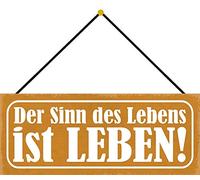 Schatzmix Die Sinn Leben Plaque en métal avec Cordon Multicolore 27 x 10 cm