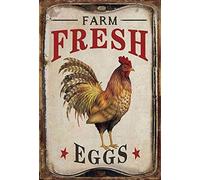 Schatzmix Nostalgie Hühner Farm Fresh Eggs Plaque en métal 20 x 30 cm Plaque décorative en tôle, Multicolore