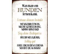 Schatzmix Plaque en métal avec Inscription en Allemand Wenn Man Von Hunden Lernen Kann 20 x 30 cm Multicolore 20 x 30 cm