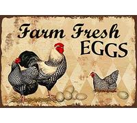 Schatzmix Plaque métallique avec Inscription « Poules Farm Fresh Eggs » - 30 x 20 cm - Décoration Murale - en tôle - Multicolore - 20 x 30 cm