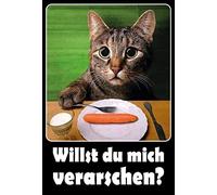 Schatzmix Plaque Murale en métal avec Inscription en Allemand Willst du Mich verarschen 20 x 30 cm