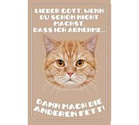 Schatzmix Plaque Murale en métal Motif Chat Inscription Gott Mach Die Other Fett 20 x 30 cm