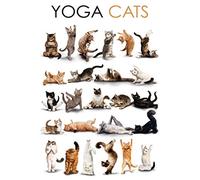 Schatzmix Yoga Cats Plaque Murale en métal Motif Humoristique Multicolore 20 x 30 cm