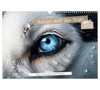 Schau mir ins Auge (Wandkalender 2026 DIN A3 quer), CALVENDO Monatskalender: Augen sind Fenster in eine neue Welt